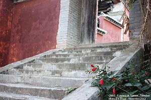 025 - Tuanshan